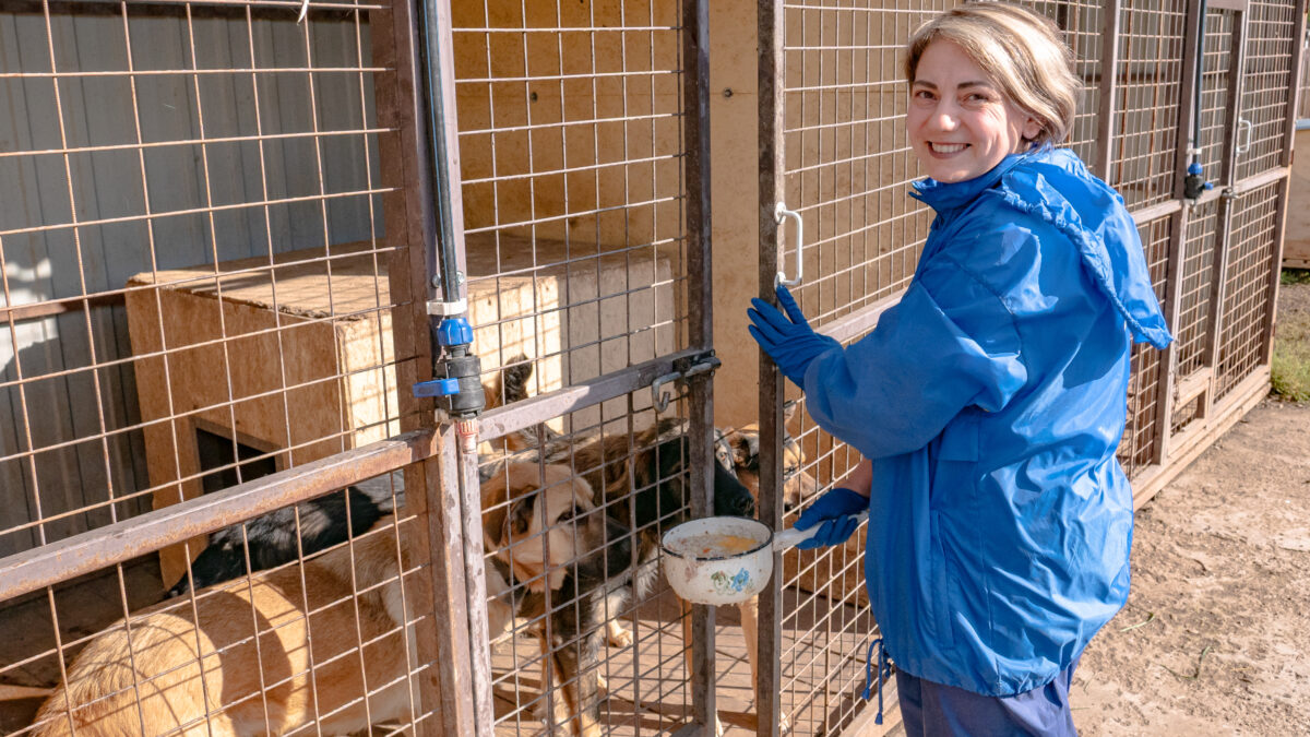 В Бавлах завершилась акция «Миска добра» 🐈🐕