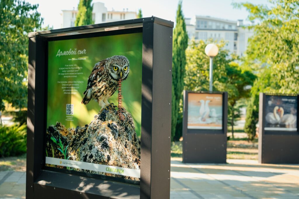 Галереи под открытым небом: искусство рядом