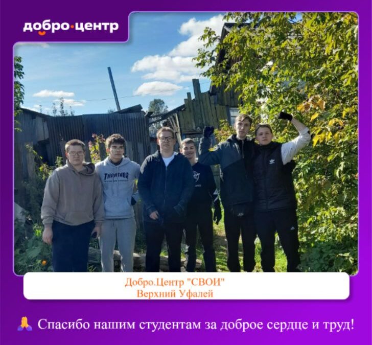Студенты Каслинского техникума помогли жительнице Верхнего Уфалея с дровами
