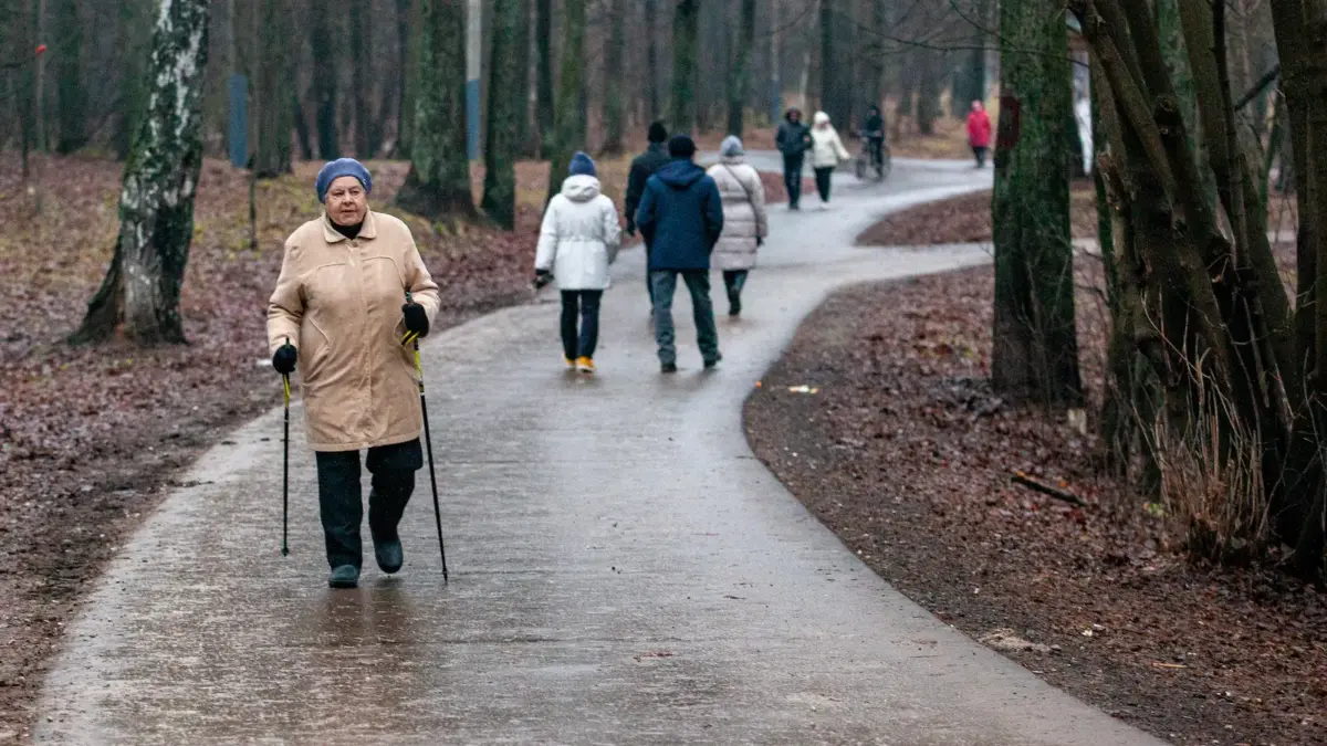 Как заметить одиночество пожилого человека и помочь: «Одноклассники», «Внуки» и «Старость…