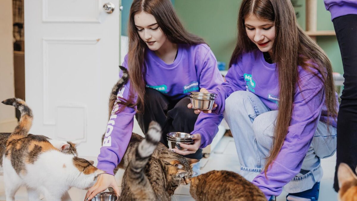 Москвичи могут собрать лакомства для обитателей вольерного комплекса «Дом лани»