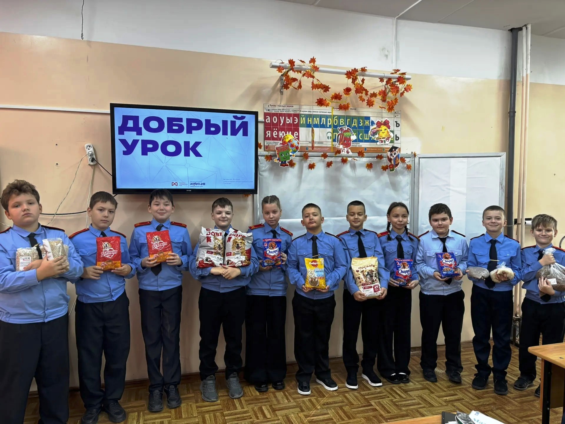 Добрые уроки: помощь приюту