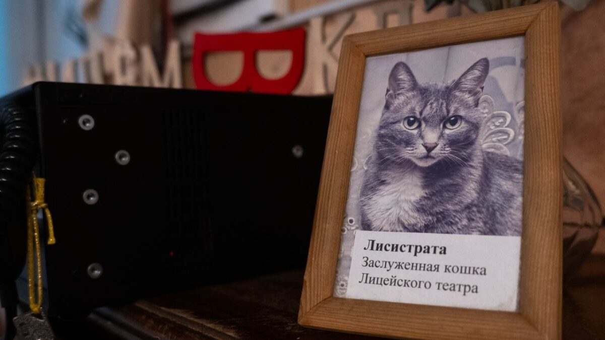 «Все горевали по ней»: в Омске установили барельеф кошке, 19 лет бывшей хозяйкой театра